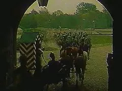Hussar weekdays