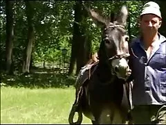 in the farm in Romania