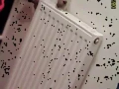 23 yo brunette with huge tits caught by spy cam in bathroom