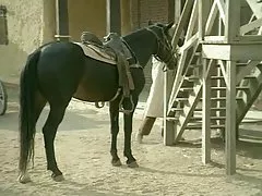 Rocco E I Mercenari (Rocco &amp; Mercenaries)