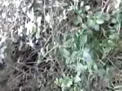 asian in field